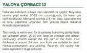 ATA TOHUMU SİVRİ BİBER YALOVA ÇORBACI 100 ADET TOHUM - 2
