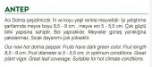 ATA TOHUMU YÖRESEL ACI DOLMA BİBER ANTEP 100 ADET TOHUM - 2