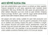 ATA TOHUMU YÖRESEL SİVRİ BİBER ACI ILICA 100 ADET TOHUM - 2