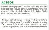 ATA TOHUMU YERLİ SÜS BİBERİ 100 ADET TOHUM - 2
