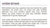 ATA TOHUMU YÖRESEL PATLICAN AYDIN SİYAHI 100 ADET TOHUM - 2