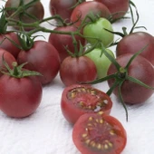 Çikolata Cherry Domates Tohumu (15 Tohum) - 1