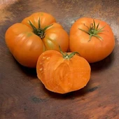 İri Meyveli Etli Dr.Wyche's Yellow Domates Tohumu (15 Tohum) thumbnail 1