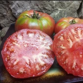 Olive Hill Etli Domates Tohumu (15 Tohum) thumbnail 1