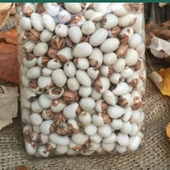 Doğal Geneleksel Empirme Sırık Fasulye Tohumu (10 Tohum) thumbnail 1