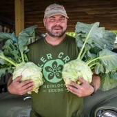 Doğal Geleneksel Giantl Kohlrabi (Alabaş) Tohumu (15 Tohum) - 1