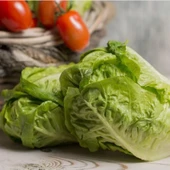 Geleneksel Tohum Doğal Sugar Leof Şeker Marul Tohumu (100 Tohum) thumbnail 1