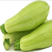 Geleneksel Kısa Sap Dolka Beyaz Kabak Tohumu (20 Tohum) thumbnail 1