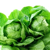 Geleneksel Tohum Geniş Yaprak Etli Lita Marul Tohumu (100 Tohum) thumbnail 1