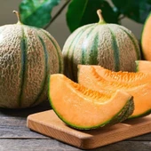 Geleneksel Gurme Charentais Kavun Tohumu (5 Tohum) thumbnail 1