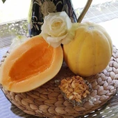 Doğal Gönen Kavun Tohumu (20 Tohum) thumbnail 1