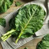 Doğal Sarmalık Dolmalık Karadeniz Kara Lahanası Tohumu (100 Tohum) thumbnail 1