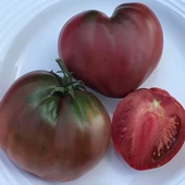 Dwarf Purple Heart Kalp Domates Tohumu (15 Tohum) thumbnail 2