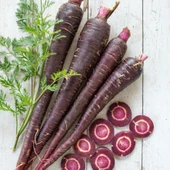 Geleneksel Siyah Mor Havuç Tohumu (300 Tohum) thumbnail 1