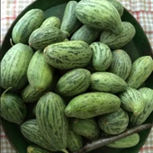 Doğal Anadolu Badem Acur Tohumu (20 Tohum) thumbnail 1