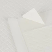 Köpek Tuv.Eğitim Pedi 60x90 cm 20+4 Free - 5