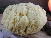 İpek Naturel Deniz Süngeri - 1