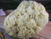 İpek Naturel Deniz Süngeri - 3