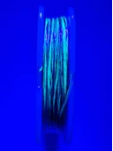 Eagenset Hazır Çapari Kombini Ultraviyole Uv Neon Koyu Yeşil Makara - 6