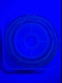 Eagenset Hazır Çapari Kombini Ultraviyole Uv Neon Koyu Yeşil Makara - 4
