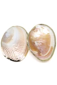 Kenarları Gold Kaplamalı İstiridye Doğal Taş Kabuk - 1