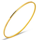 22 Ayar 10 Gr Ajda Bilezik - BZK159 - 1