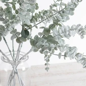 Nettenevime 3lü Set Yapay Çiçek Pastel Karlı Okaliptus 48cm 5Dallı Uzun Dal Eucalyptus thumbnail 2