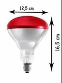 (10 Adet) Osram Ledvance 150W (Kırmızı Işık) İnfrared Isıtıcılı Lamba E27 Duylu (Kalın Duy) - 3