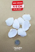 Doğal Deniz Kabuğu 500 Gram Büyük Boy 4-5 cm - 1