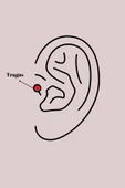 316L Çelik Gümüş Renk Zirkon Taşlı  Model Tragus Piercing - TJ-PR1327 - 2
