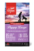 Orijen Puppy Large Tahılsız Büyük Irk Yavru Köpek Maması 11.4 KG - 1
