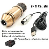 WellSound BM-800USB Profesyonel Masa Mikrofonu - 4