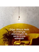 BILICRA MOOD AKILLI AMPUL-11W 1050 Lm Wifi destekli - BSMX1 - A60 - 5