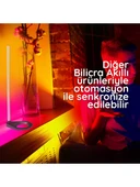 BILICRA LOCATE AKILLI LAMBADER 60 CM - 3