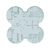 Ayt Weko 4S 14.8V-16.8V 15A Li-iOn Pil 18650 Bms Koruma Kartı Devre Şarj Akım Koruma Devresi Matkap Vidalama İçin - 3