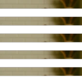 İsot Biber Maraş 100g - 2