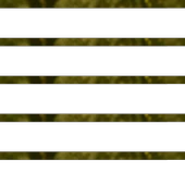 Zeytin Yaprağı 40g thumbnail 2