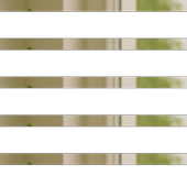 Stevia Yaprağı-Şeker Otu 30g thumbnail 2