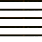 Beyaz Susam 100g thumbnail 1