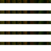 Acı Çehre Tohumu 10g thumbnail 1