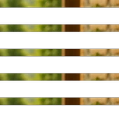 Ardıç Tohumu 100g thumbnail 2