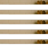 Kereviz Tohumu 50g thumbnail 1