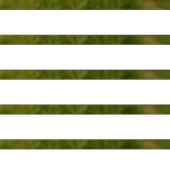 Zulumba-Cedvar 50g - 2