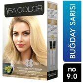 SEA COLOR 9 0 Buğday Sarısı Set Boya - 2