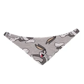 Lepus Fularlı Köpek Boyun Tasması No:2 Medium - 1