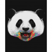 Pandam Renkli Sayılarla Boyama Seti thumbnail 1