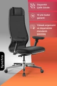 Ergolife Synchrosit 10 Ergonomik Ofis Sandalyesi | Bel Destekli, Fileli Sırt Destekli, Çalışma Sandalyesi -1F6.7.1.544 - 1