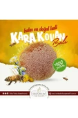 Kadın Kooperatifi Organik Karakovan Petek Bal 3 Kg - 2