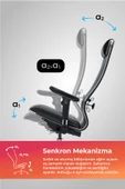 Ergolife Synchrosit 10 Ergonomik Ofis Sandalyesi | Bel Destekli, Fileli Sırt Destekli, Çalışma Sandalyesi -1F6.7.1.544 - 3