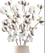 Nettenevime 3lü Set Doğal Pamuk Çiçeği 9lu Kuru Çiçek 60cm Yapay Çiçek thumbnail 1